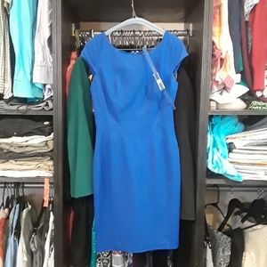 White House Black Market Blue Knit Dress